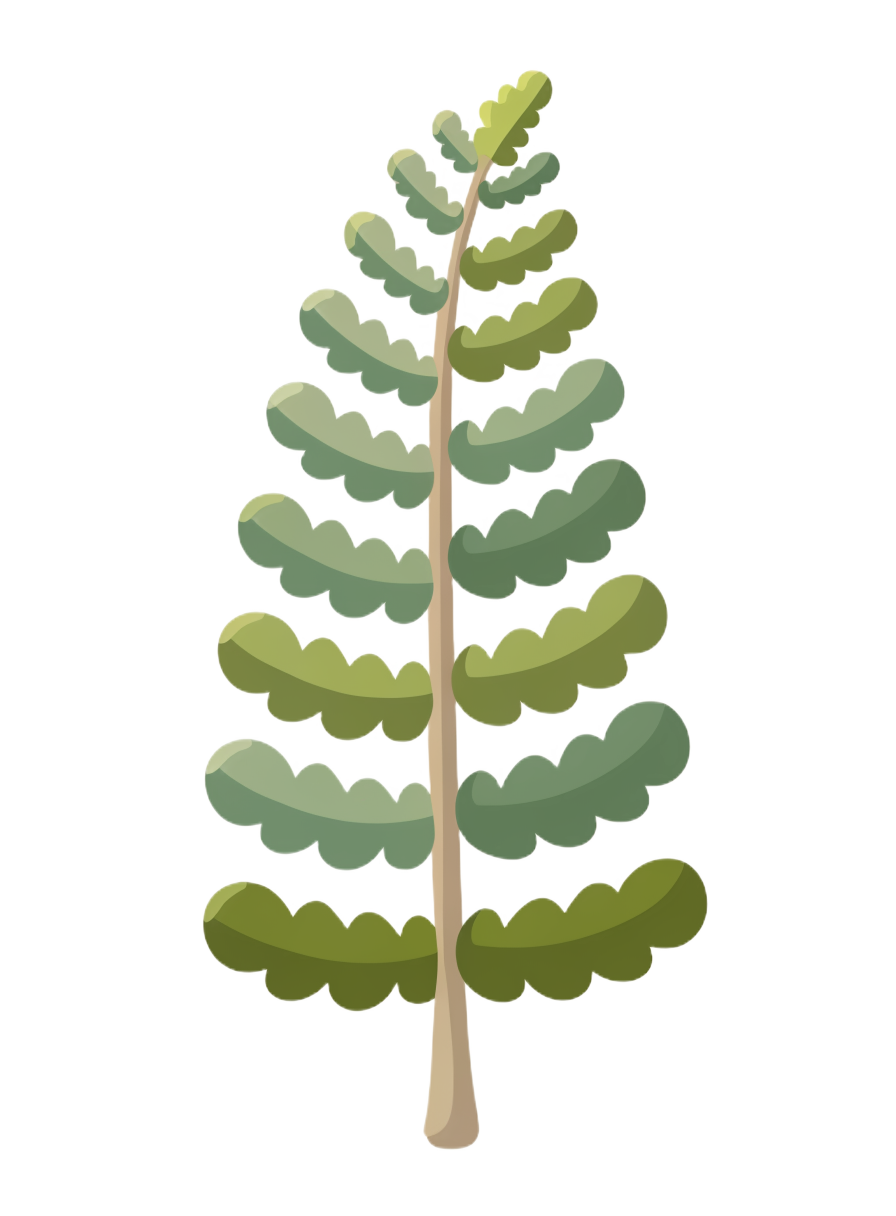 Fern — grown from a completed activity