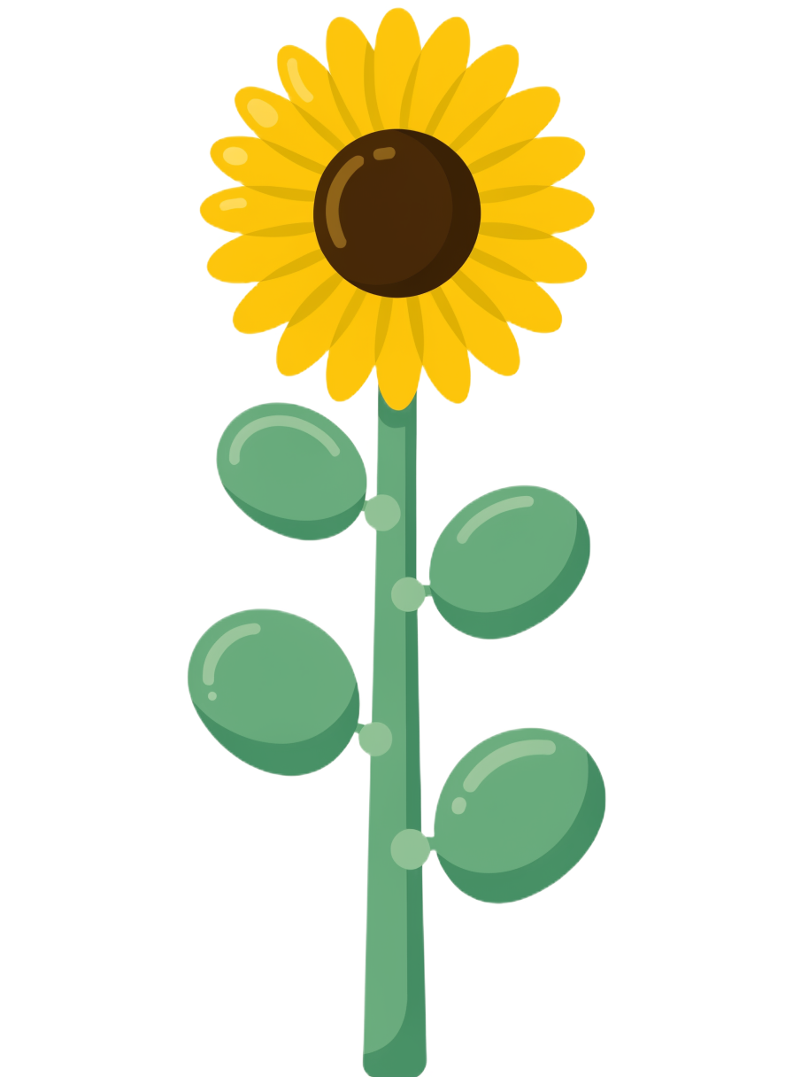 Sunflower — grown from a completed activity